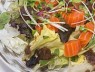 salmon salad[raw]